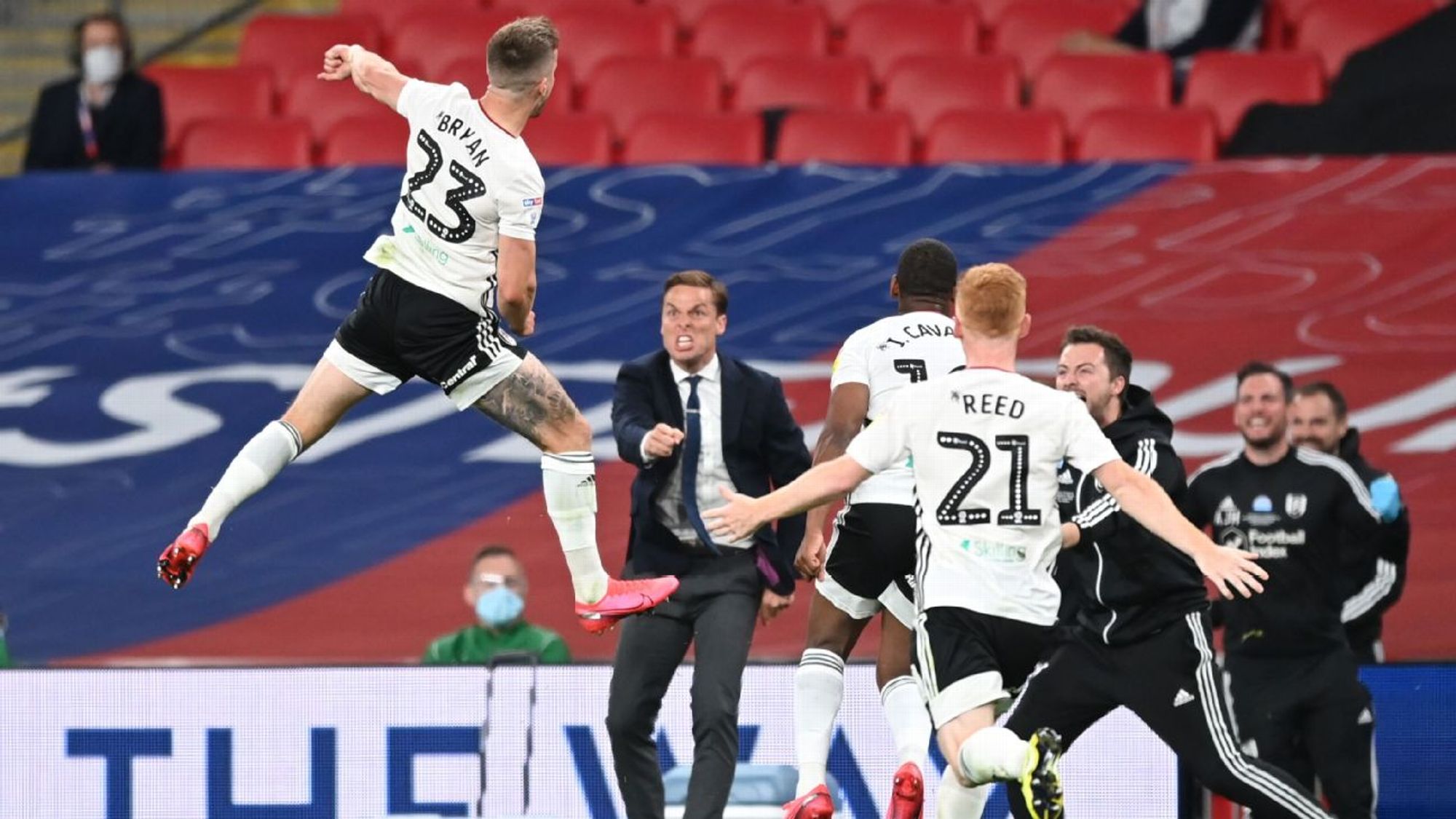 费迪南德这 费迪南德这